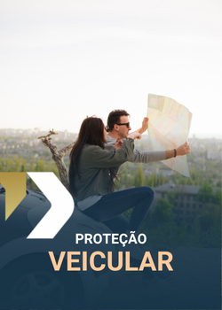 protecao veicular - dimensao contabilidade
